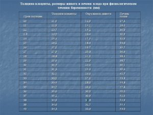 Толщина плаценты 20 недель