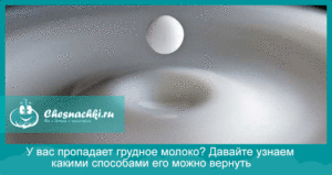Молоко стало пропадать что делать