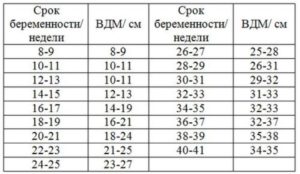 Высота дна матки и окружность живота по неделям