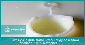 Что нужно есть чтобы было много грудного молока