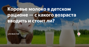 Как вводить молоко ребенку