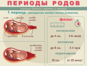 Как отличить схватки от потуг