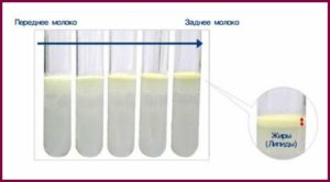 Анализ на жирность грудного молока