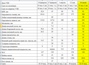 36 недель норма узи