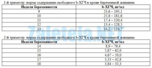 Какой хгч сдавать при беременности общий или свободный