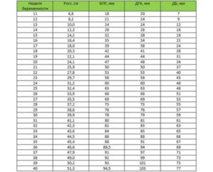 Размеры плода на 20 неделе беременности по узи