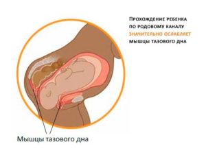 Проблемы с мочеиспусканием после родов