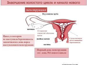Оказалась беременна после месячных