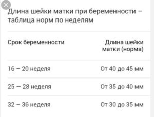 Сколько должна быть мм шейка матки при беременности