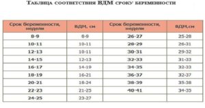 Масса матки при доношенной беременности