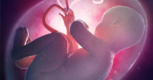За сколько до родов затихает ребенок в утробе