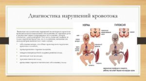 Маточный кровоток при беременности нарушен