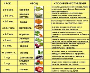 Кабачки при кормлении новорожденного