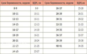 Высота дна матки и окружность живота по неделям