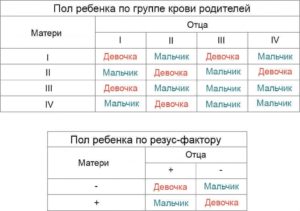 Как вычислить пол ребенка по обновлению крови родителей