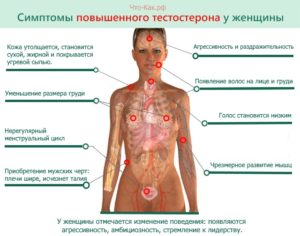 Повышенный уровень мужских гормонов у женщин симптомы