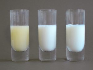 Как понять что молоко перегорает