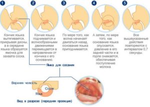 Что делать с грудью когда бросаешь кормить грудью