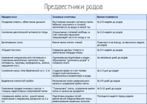 С какого срока беременности начинаются тренировочные схватки