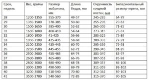 Вес плода 36 недель