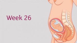 На 21 неделе беременности не чувствую шевелений