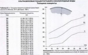 18 недель толщина плаценты