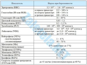 Лейкоциты в моче норма у женщин при беременности