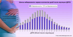 Какова вероятность забеременеть с первого раза в овуляцию