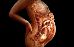 Старая плацента при беременности