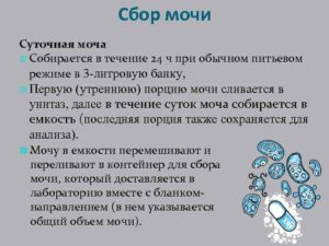 Как правильно собирать суточную мочу беременным на белок