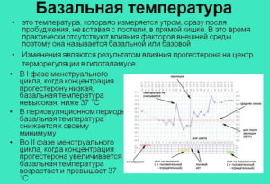 Овуляция и температура тела