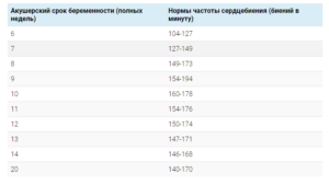 Срок 6 акушерских недель беременности