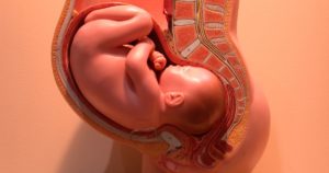 На 34 неделе беременности тонус матки при беременности