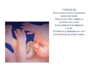 Тонус на 34 неделе