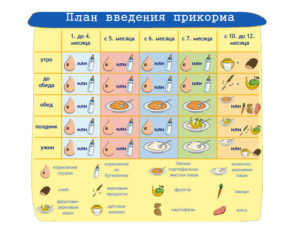 Со скольки можно прикармливать ребенка на искусственном вскармливании