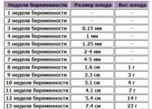 21 неделя размер плода