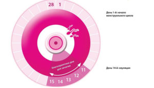 Опасные дни для зачатия рассчитать