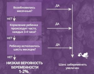 Можно ли забеременеть без месячных при грудном вскармливании