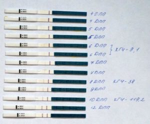 Какие ощущения после переноса эмбрионов на 3 день