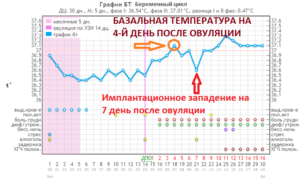 Температура ректальная после овуляции