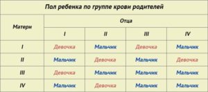 Как вычислить пол ребенка по обновлению крови родителей