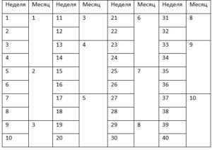 23 неделя беременности сколько это в месяцах