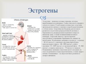 Где вырабатываются гормоны женские