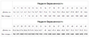 20 недель вес ребенка