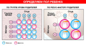 Как можно узнать пол ребенка в домашних условиях