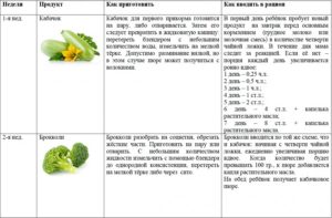 Кабачки при кормлении новорожденного