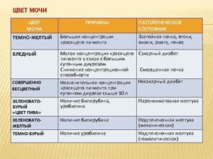 Темная моча у ребенка причины