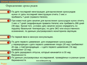 Как рассчитать предположительную дату родов