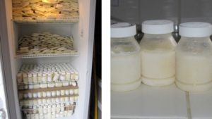 Можно ли сцеженное молоко сразу ставить в холодильник