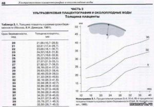 Толщина плаценты на 31 неделе